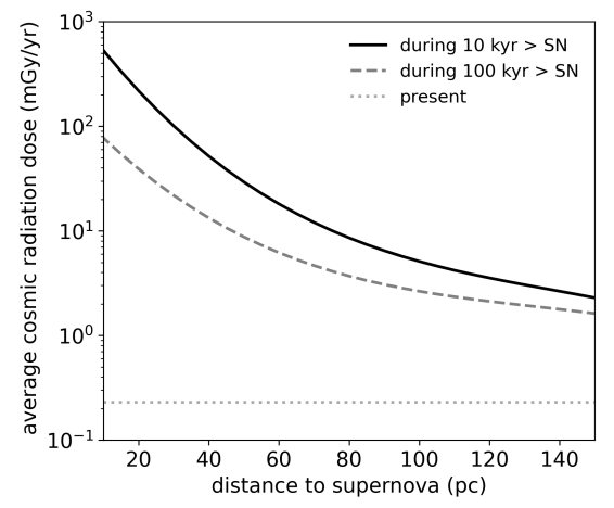 This figure shows the average dose received at ground level as a function of the distance to the nearest SN. The average dose is calculated over the first 10 kyr (solid line) and over the first 100 kyr (dashed line) after the SN explosion. It's not enough to trigger extinction, but it can trigger diversity. Photo Credit: Nojiri et al. 2024.