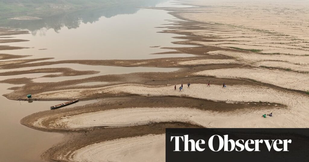 Brazil's paradise is on fire: 'The forest is on fire. Animals burn. Everything's on fire'