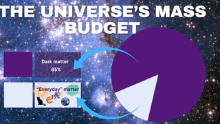 In this diagram, it is shown that 85% of the universe is dark matter and everyday matter is 15% of the universe.